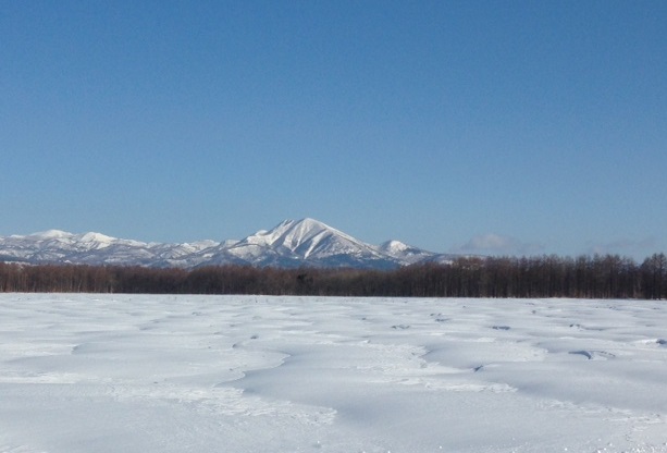 http://www.nakashibetsu-airport.jp/20180303-5.JPG