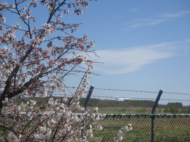 http://www.nakashibetsu-airport.jp/20180521-3.JPG