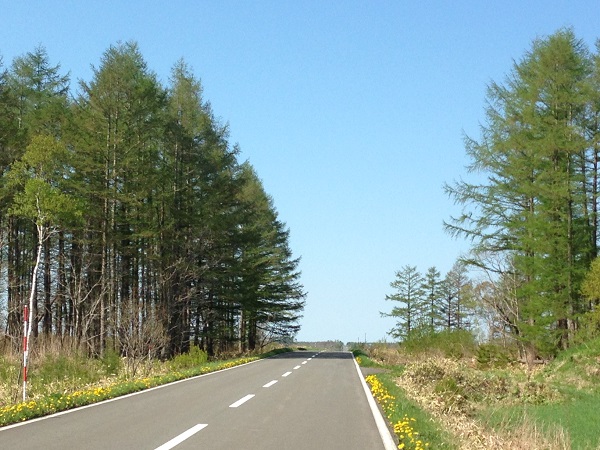 http://www.nakashibetsu-airport.jp/20180522-11%E5%8F%B7.JPG