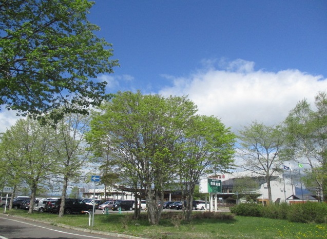 http://www.nakashibetsu-airport.jp/20180526-3.JPG