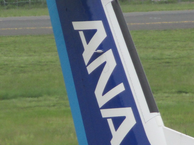 http://www.nakashibetsu-airport.jp/abanjo.JPG