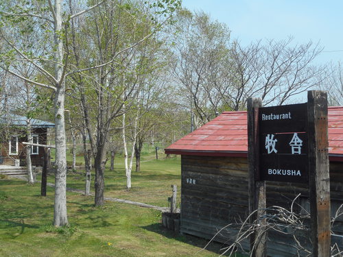 DSCN0850.JPG