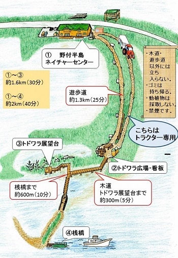 トドワラ案内図.jpg