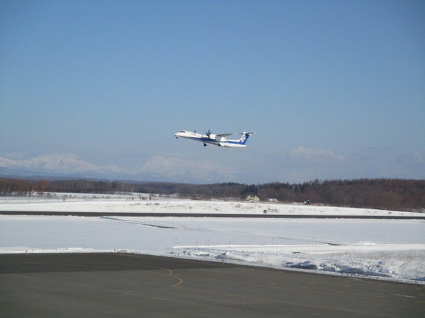 IMG_6532.JPG
