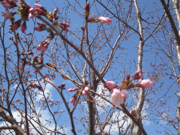 IMG_7740.JPG