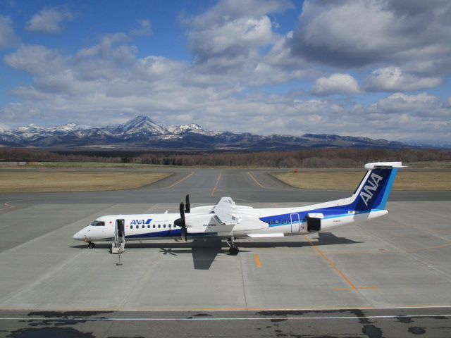 http://www.nakashibetsu-airport.jp/leewyu.JPG