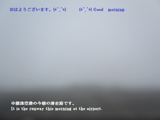 http://www.nakashibetsu-airport.jp/mmeewwaa.JPG