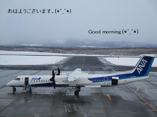 http://www.nakashibetsu-airport.jp/nbvmc.JPG
