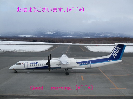 http://www.nakashibetsu-airport.jp/njy.JPG