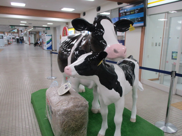 http://www.nakashibetsu-airport.jp/ttrewsa%20%281%29.JPG