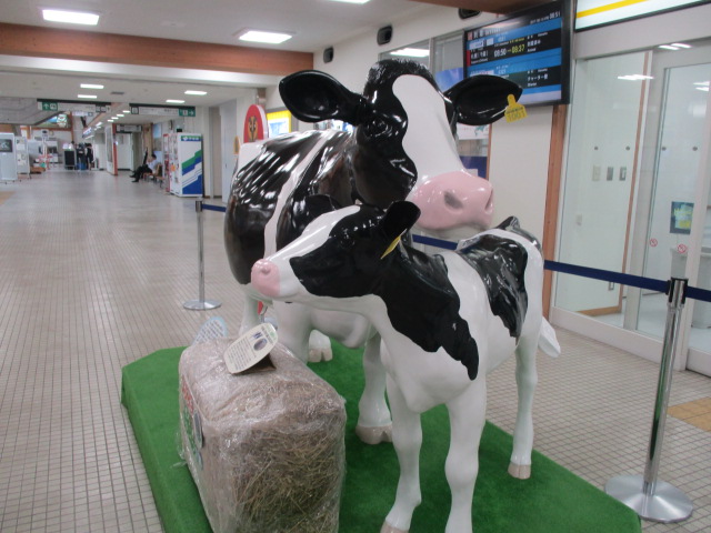 http://www.nakashibetsu-airport.jp/ttrewsa%20%281%29.JPG