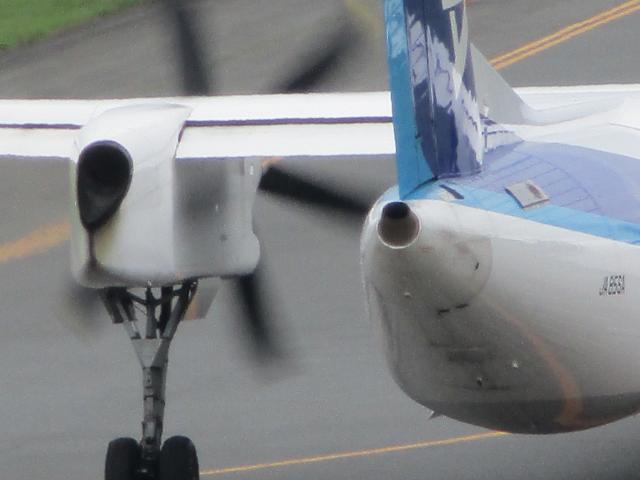20210912_093953.JPG