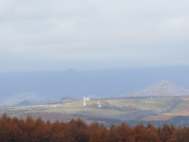 20211108_100604.JPG