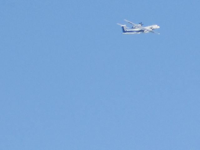 20220126_094114.JPG