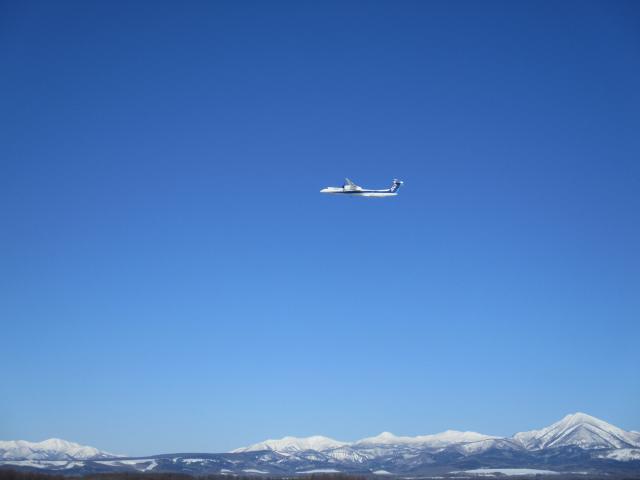20220128_094637.JPG