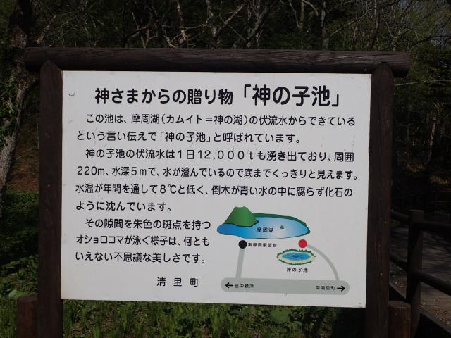 20220523_150851.JPG