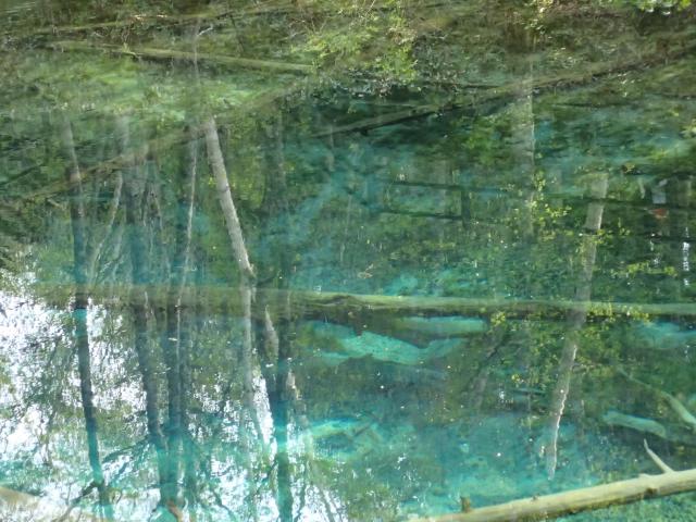 20220523_151213.JPG