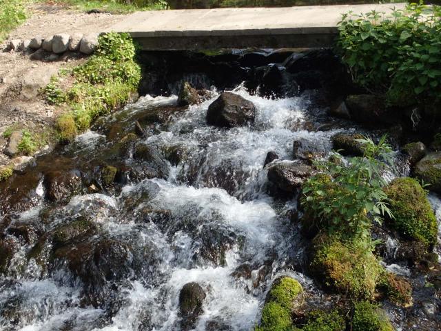 20220523_153107.JPG