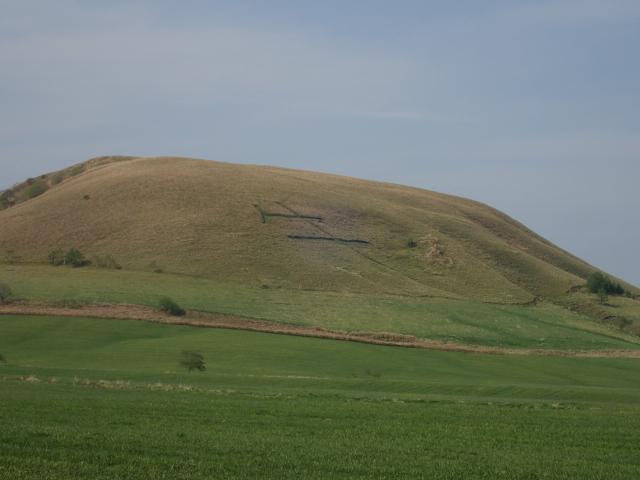 20220523_164045.JPG