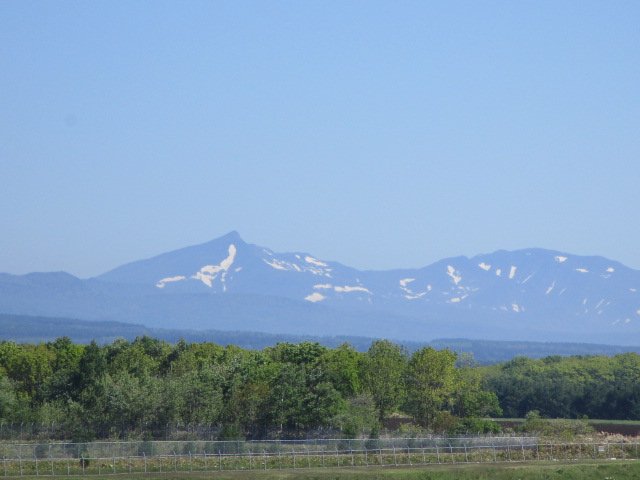 20220616_104950.jpg
