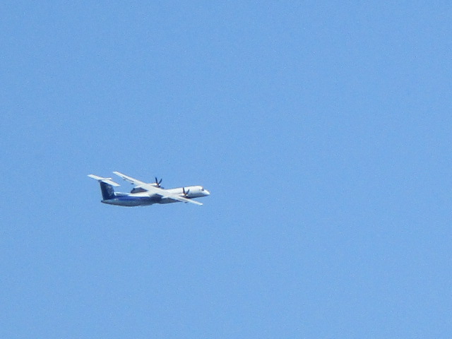 20220911_104618.JPG