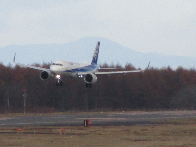 20221114_153246.JPG