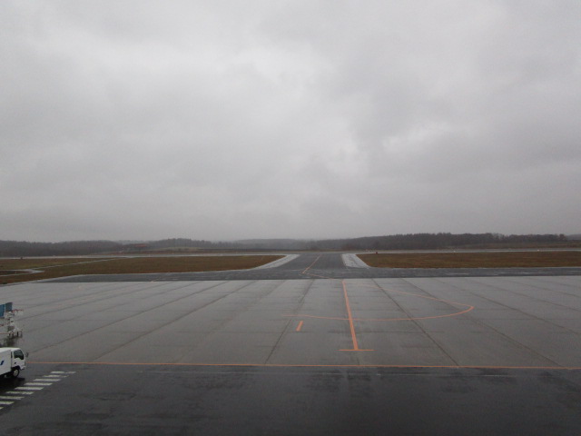 20221124_091528.JPG