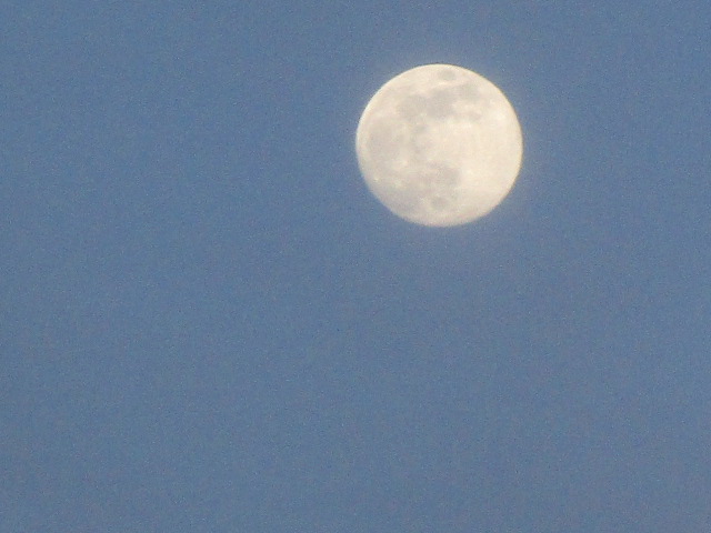 20230204_165856.JPG