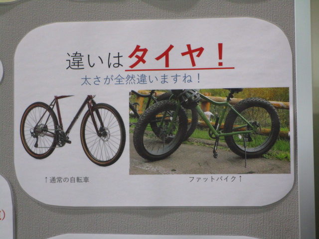 20230301_162957.JPG