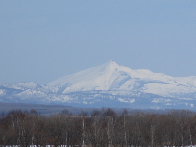 20230320_094712.JPG