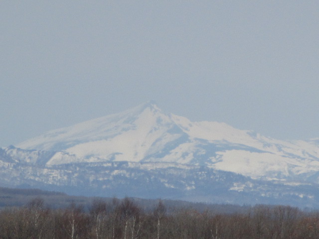 20230404_105103.JPG