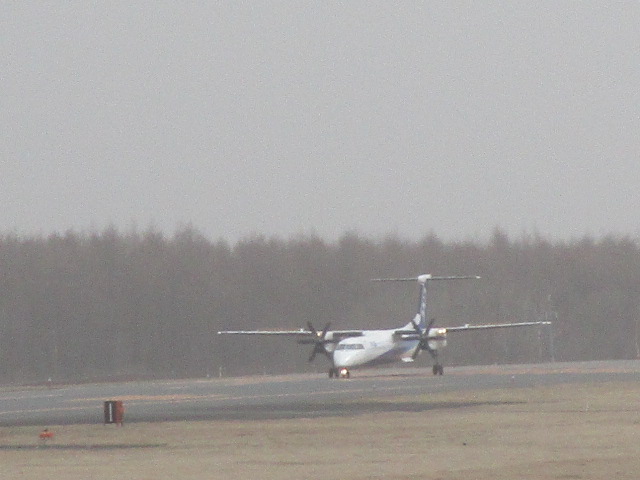 20230413_104754.JPG