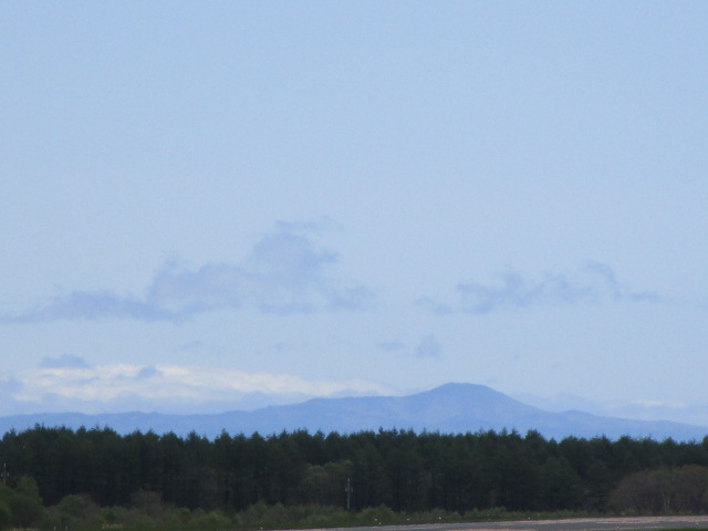 20230523_104513.JPG