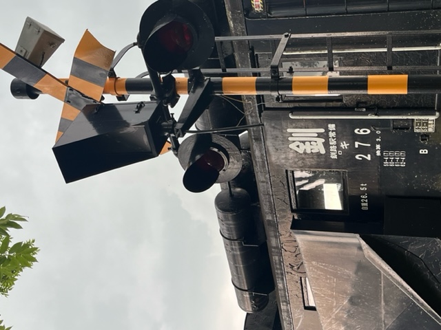 20230609_132114.jpeg