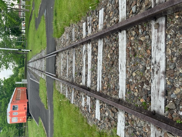 20230609_132535.jpeg