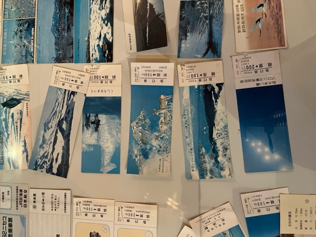 20230609_140052.jpeg