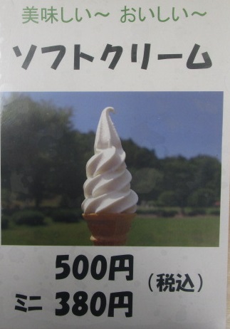 20230616_154333.JPG
