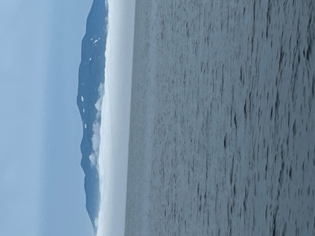 20230625_121253.jpeg