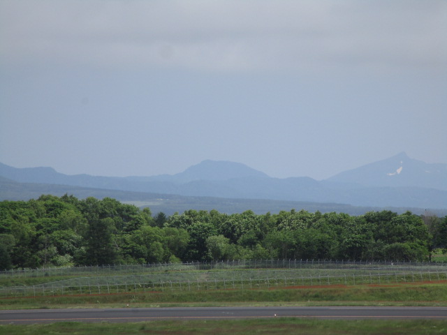 20230627_094248.JPG