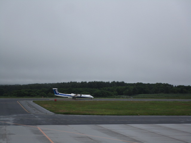 20230706_105246.JPG