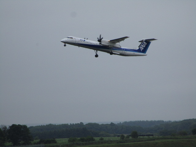 20230719_094800.JPG