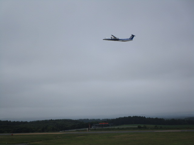 20230719_094826.JPG