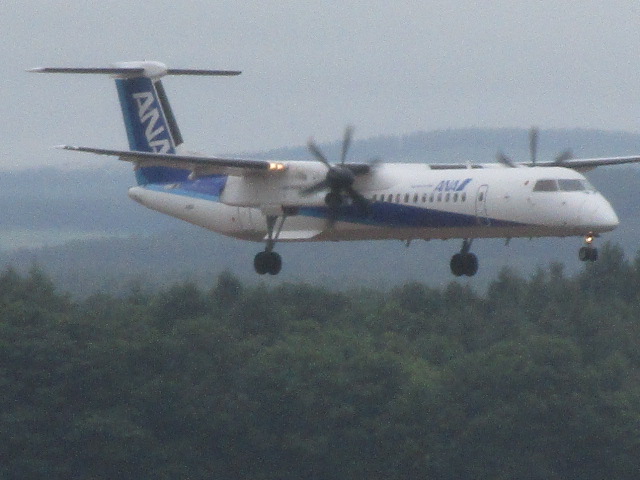 20230720_093837.JPG
