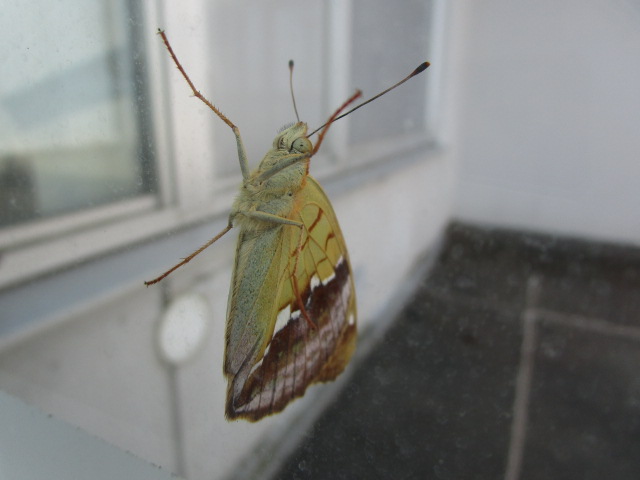 20230802_104659.JPG