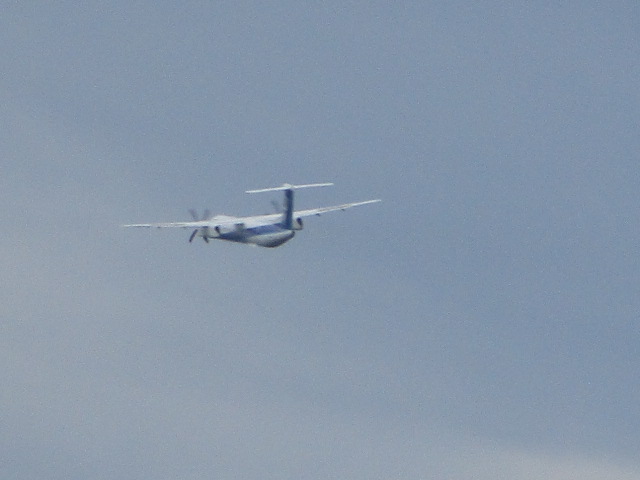 20230803_100944.JPG