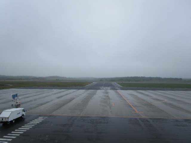 20230807_093138.JPG
