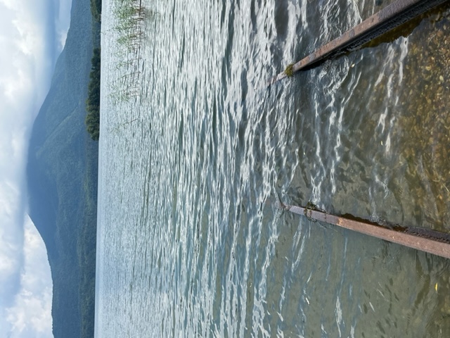 20230823_105657.jpeg
