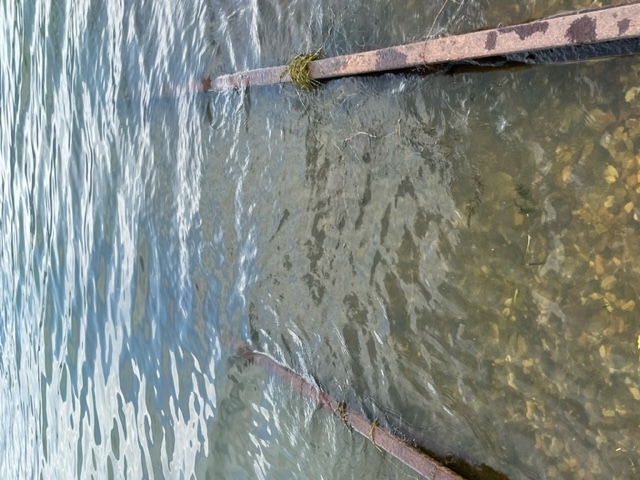 20230823_105844.jpeg