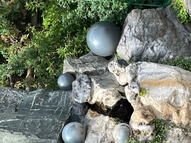 20230823_111831.jpeg