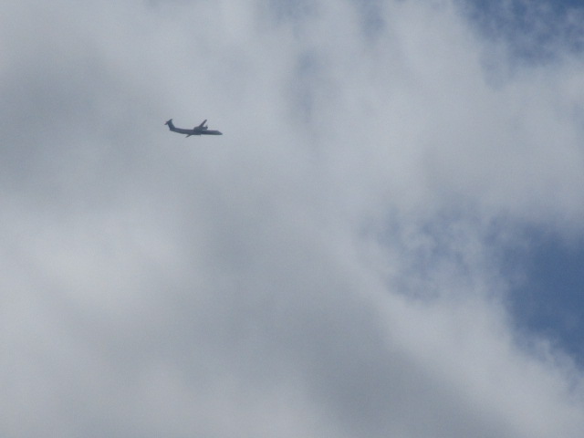 20230915_094952.JPG